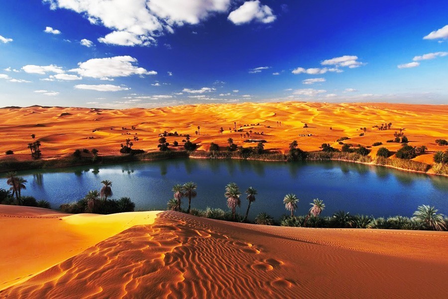 Al-Fayoum-Tagestour zum Wadi Al Rayan und Wadi Hitan